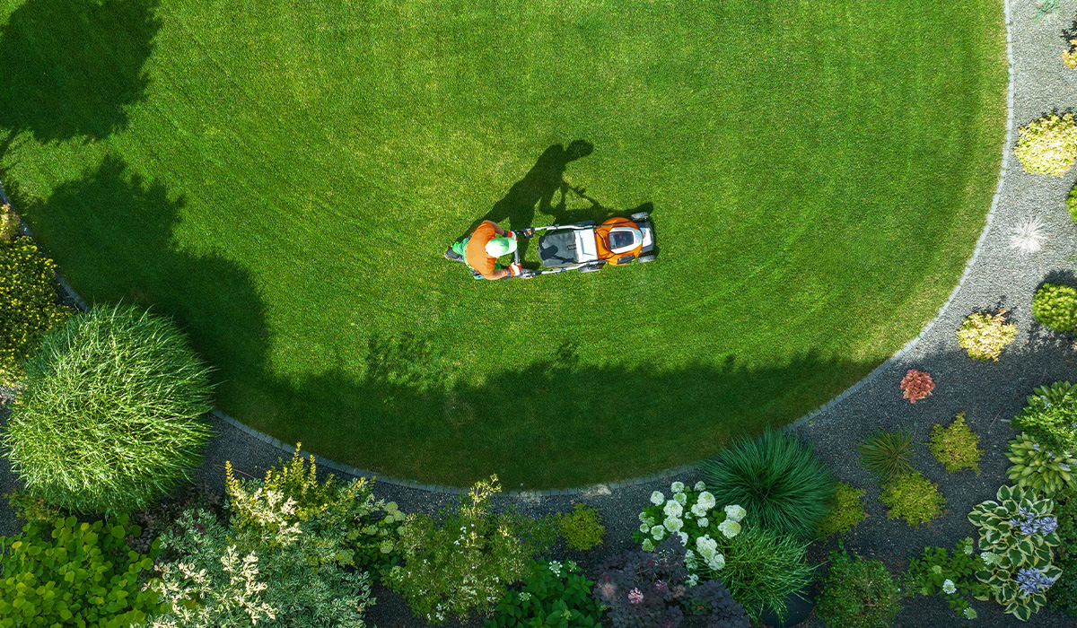 The Importance Of Professional Servicing For Your Lawn Care Machinery