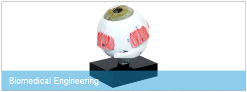 ql-bio.jpg